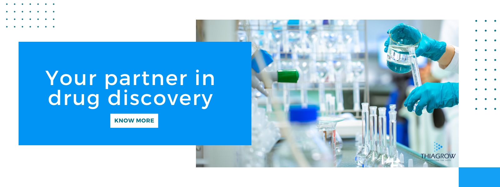 Your partner in drug discovery